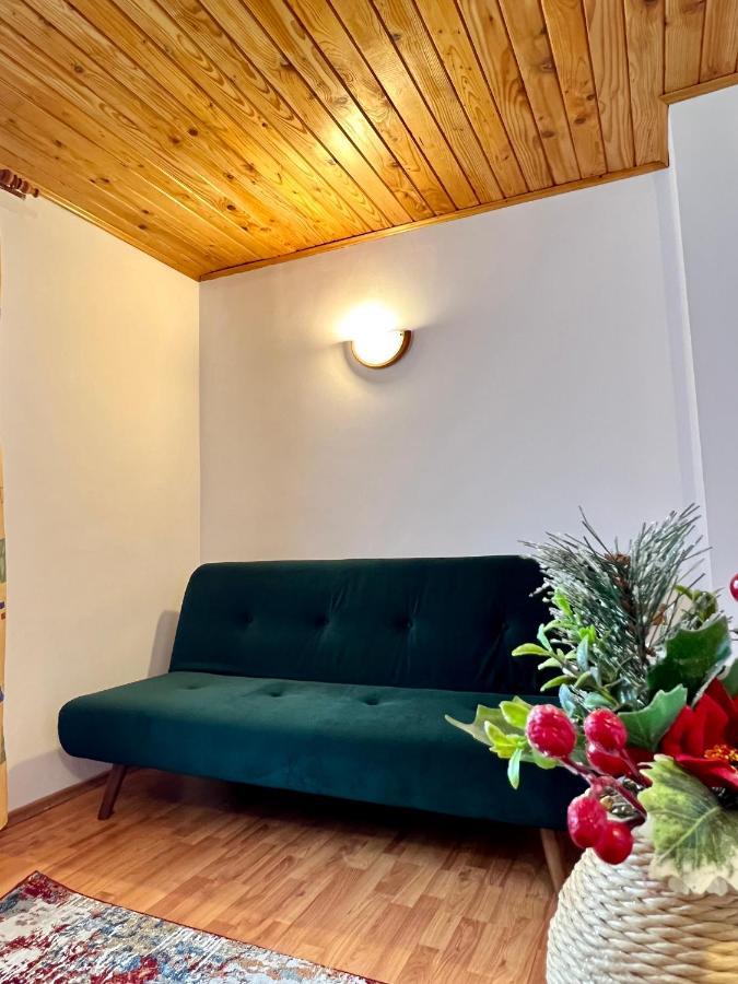 Vila Brad Predeal Luaran gambar